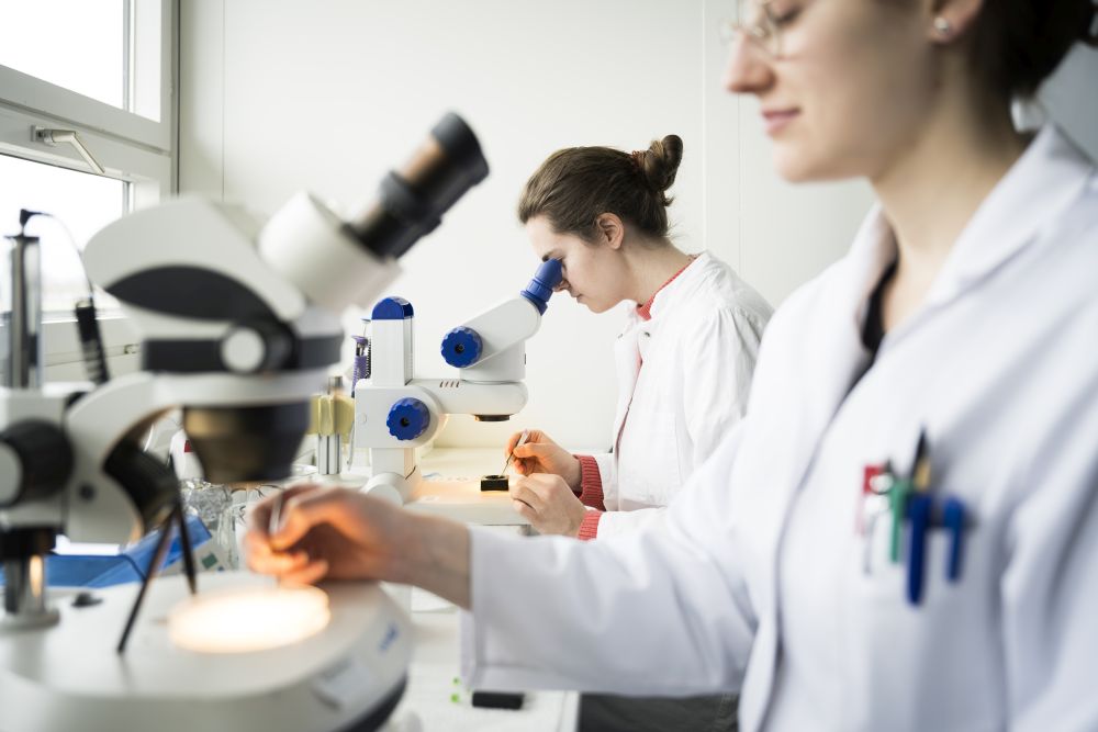 Zwei Wissenschaftlerinnen arbeiten an Mikroskop-Analysen in einem Labor.