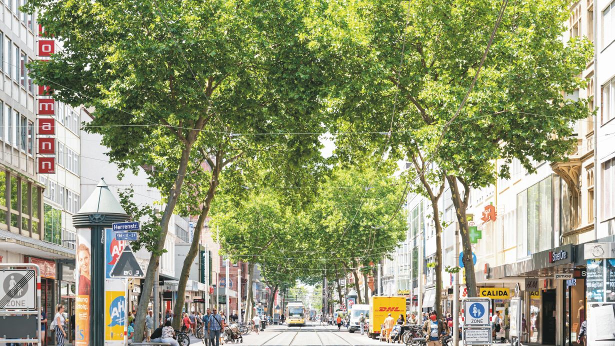 Anastasiya Sultanova / KIT Belebte Einkaufsstraße mit Bäumen, Geschäften und Fußgängern an einem sonnigen Tag.