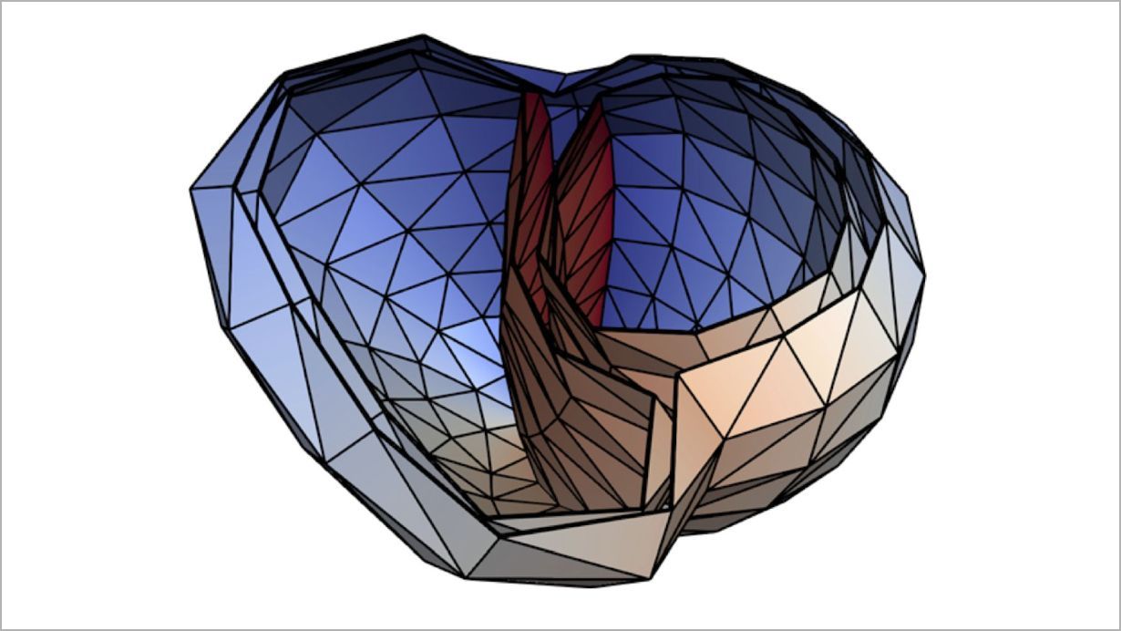 Dreidimensionale, polygonale Darstellung eines menschlichen Herzens.
