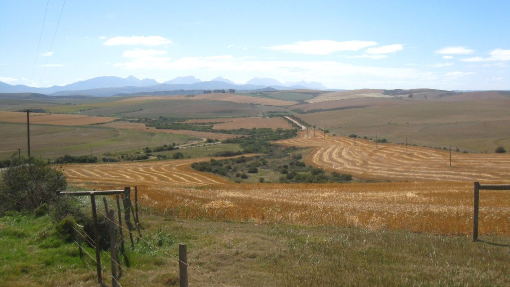 Mehr Nahrung produzieren und gleichzeitig mehr Kohlenstoff speichern