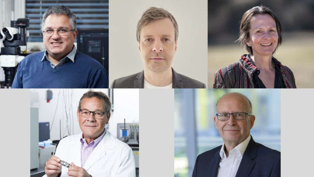 Die fünf „Highly Cited Researchers“ aus dem KIT