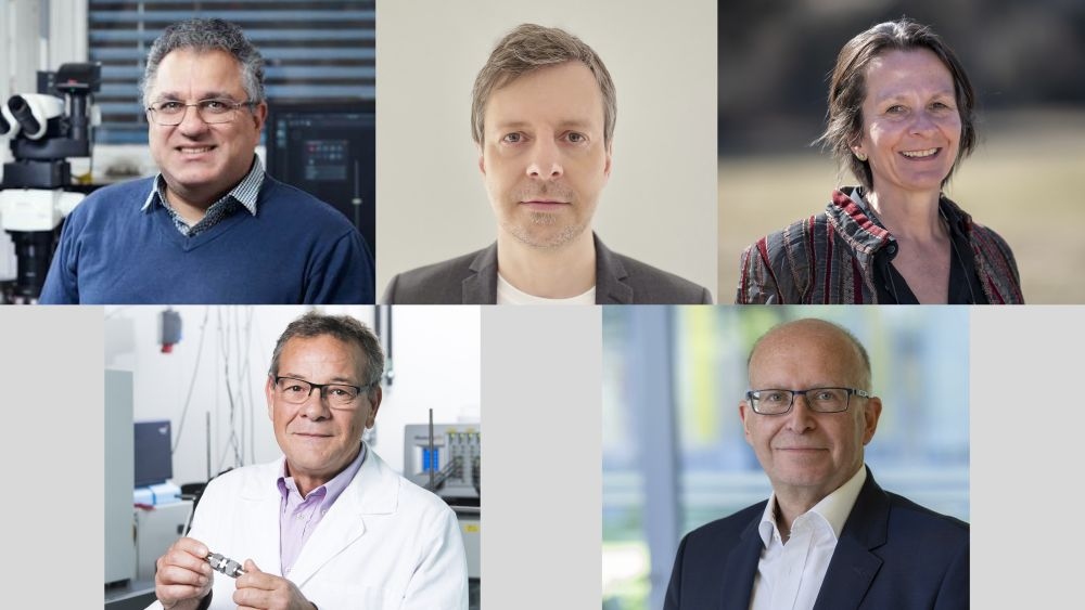 „Highly Cited Researchers“ aus dem KIT