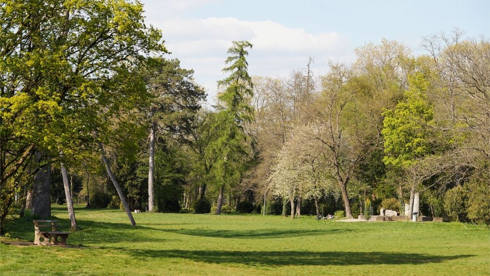 Bäume machen Städte klimaresistenter und Menschen glücklicher