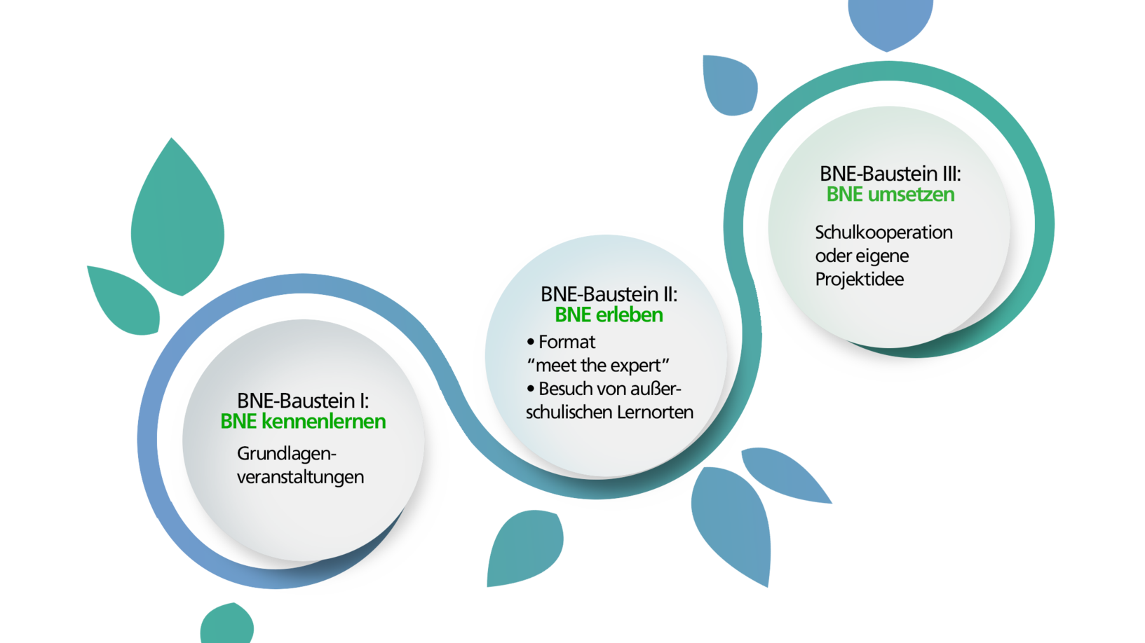 Antonia Loschan Drei BNE-Bausteine: Kennenlernen, Erleben, Umsetzen mit Schulkooperationen und Projekten.