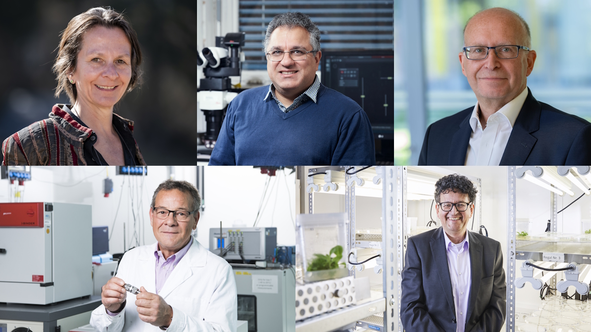 Die 5 meistzitierten Forschenden des KIT