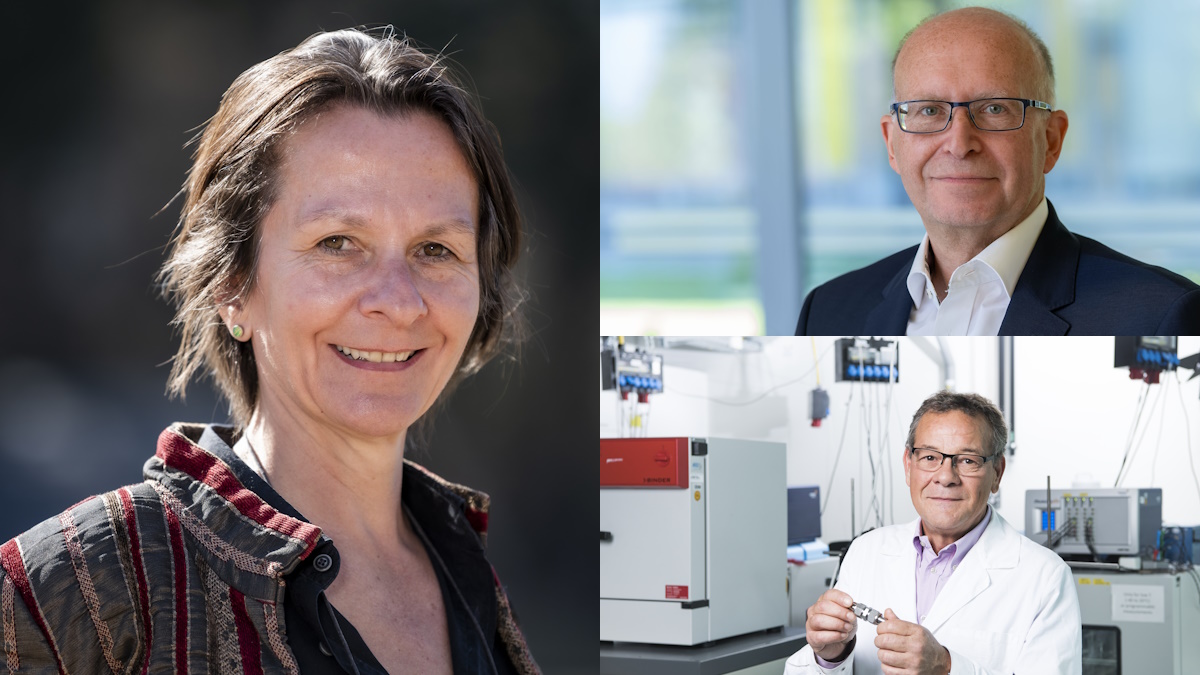 Beschreibung siehe Bildunterschrift