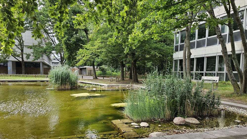 Fermi-See am Campus Süd: Teich beim Physikgebäude mit Uferpflanzen, umgeben von Bäumen und Sitzbänken