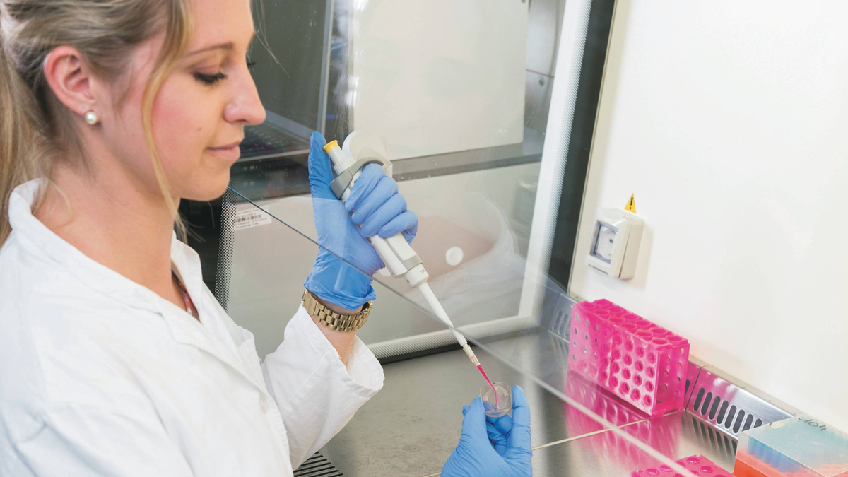 Organe auf Mikrochips fuer sichere Medikamententests