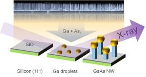 Untersuchungsprinzip: Auf einem Siliziumtr&auml;ger wachsen durch den Beschuss von Gallium-Tr&ouml;pfchen mit Gallium und Arsen kleine d&uuml;nne Nanodr&auml;hte. Das Wachstum l&auml;sst sich mit R&ouml;ntgenstrahlung (X-ray) live verfolgen. Abschlie&szlig;end wurden die Nanodr&auml;hte mit dem Elektronenmikroskop untersucht (Hintergrund). (Bild: Philipp Schroth, KIT)