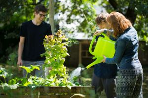 Im Campusgarten am KIT tragen Studierende, Besch&auml;ftigte und Anwohner zur nachhaltigen Campusentwicklung bei. (Foto: Lydia Albrecht, KIT)
