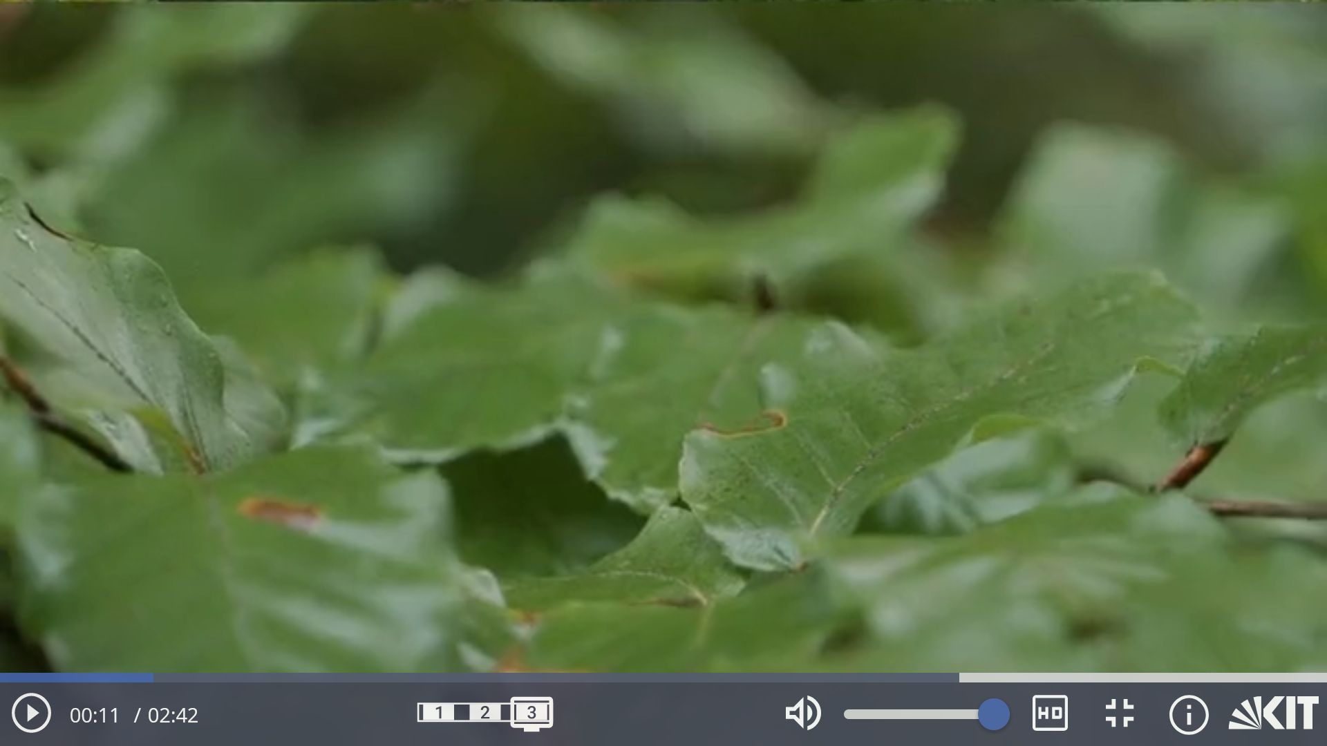 Die Videodaten liegen bei einem externen Anbieter (vimeo). Mit dem Klick auf den Player verlassen Sie den Webauftritt des KIT.