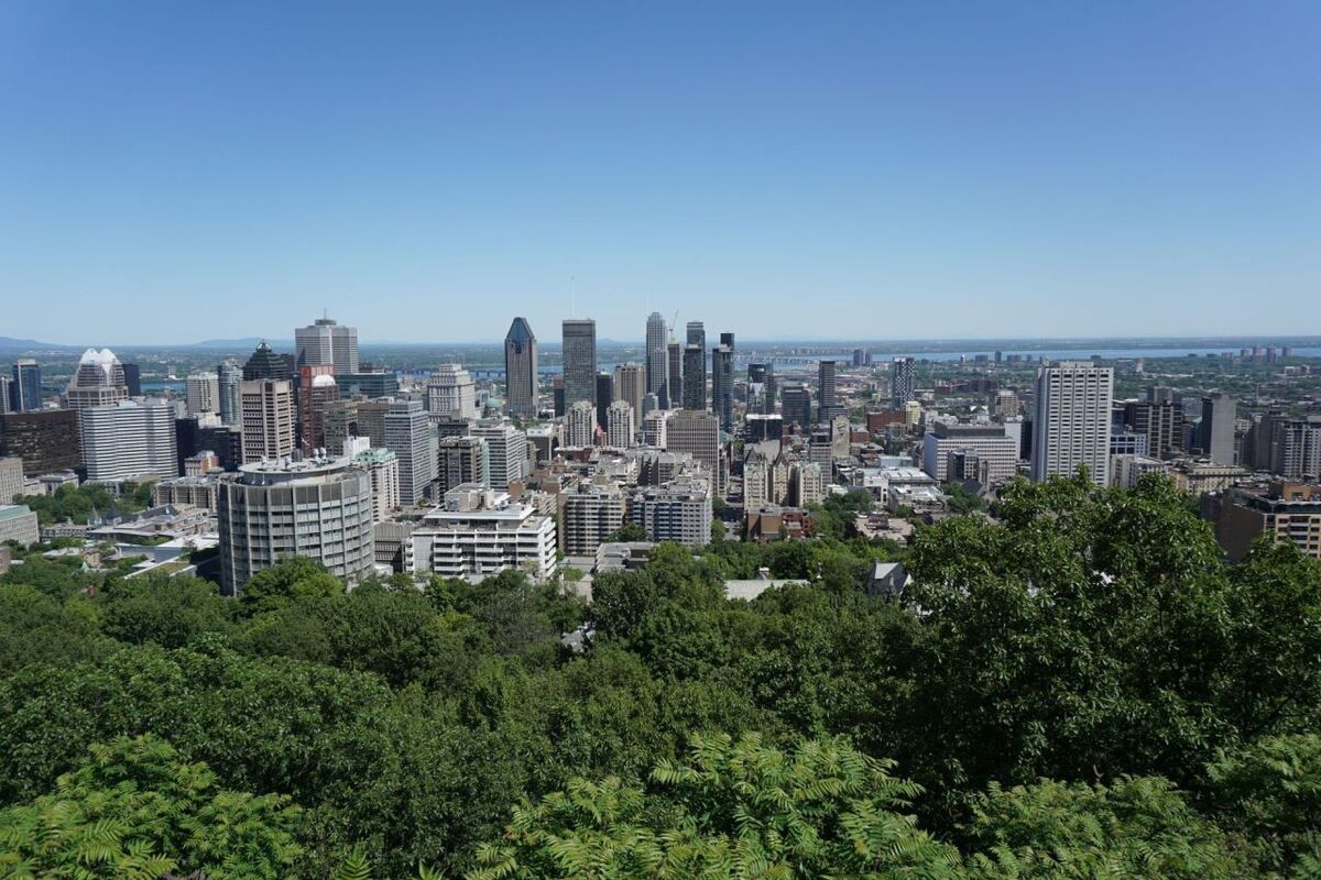 Großstadt mit dichter Baumbegrünung im Vordergrund