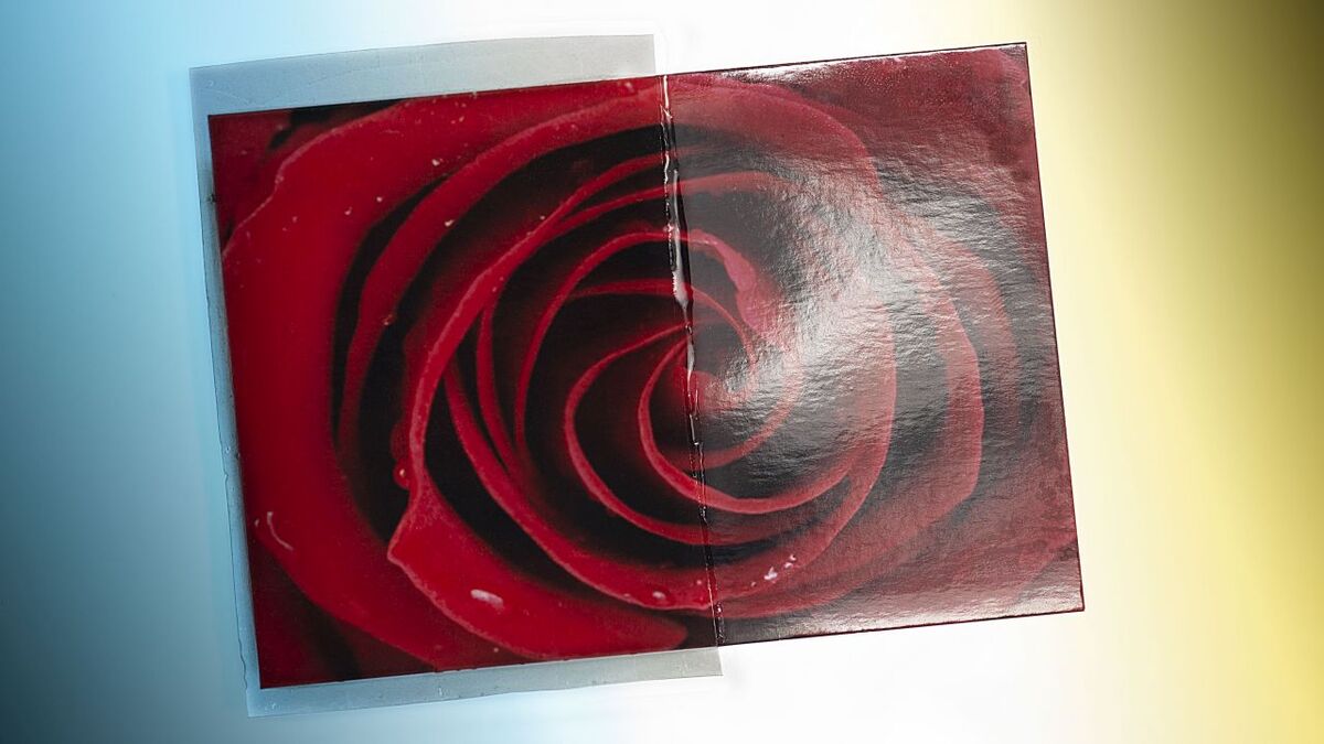 Beschreibung siehe Bildunterschrift