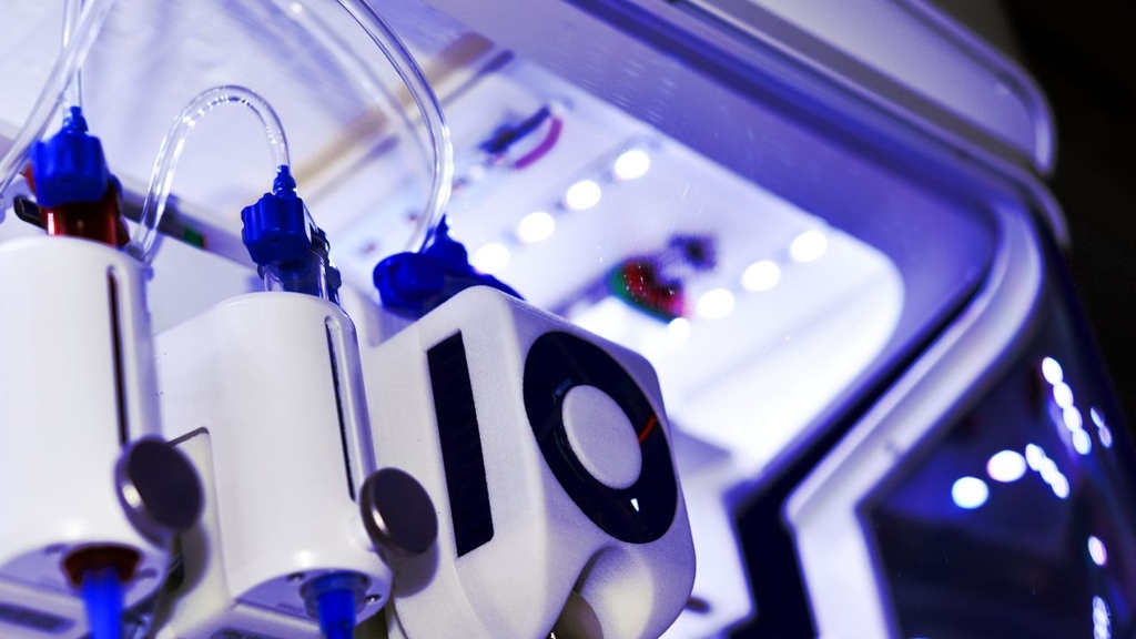 Materialwissenschaften: KIT koordiniert deutschlandweites Bioprinting-Projekt