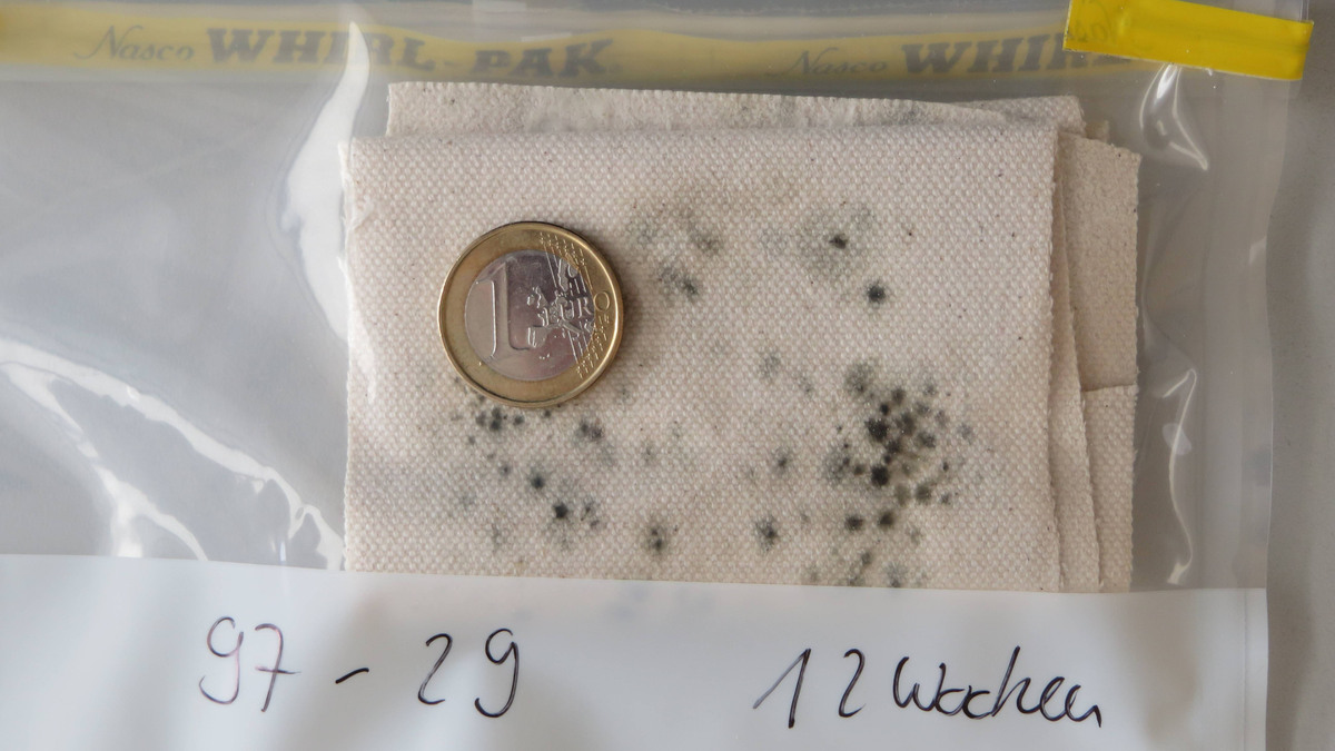 Gärtuch auf dem sich grüner Schimmel gebildet hat