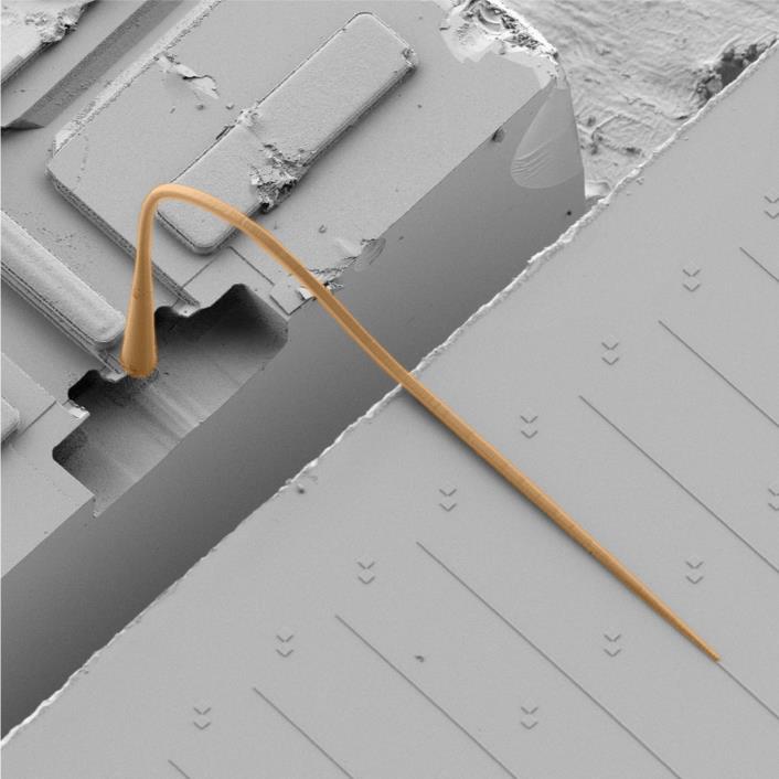 Entwurf eines photonischen Multi-Chip-Systems mit einem photonischen Wirebond. (Abbildung: IPQ/IMT/KIT)