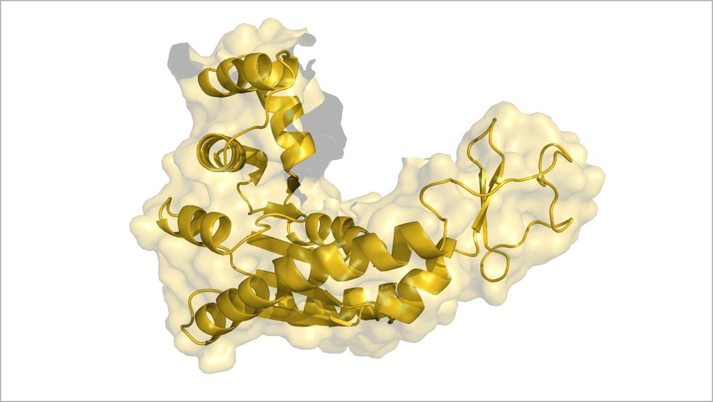 Effiziente Methode für Simulation von Biomolekülen