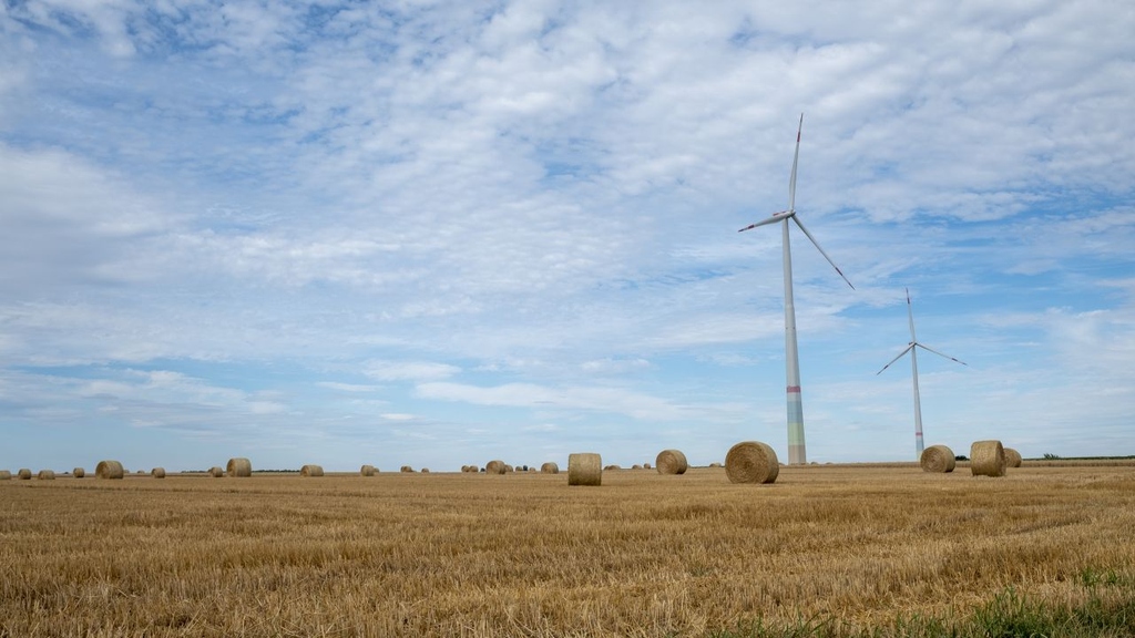 Klimaneutralität nur mit langfristiger CO2-Speicherung