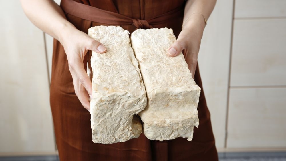 Pilze als Baustoff: KIT prüft neuartige Werkstoffe