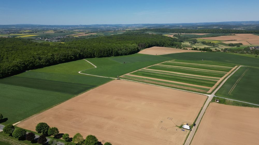 Neue Forschungsplattform zu effizientem Düngemitteleinsatz