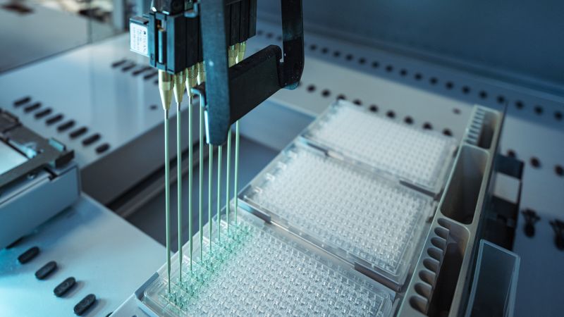 Automatisierter Laborroboter pipettiert Proben in eine Mikrotiterplatte.