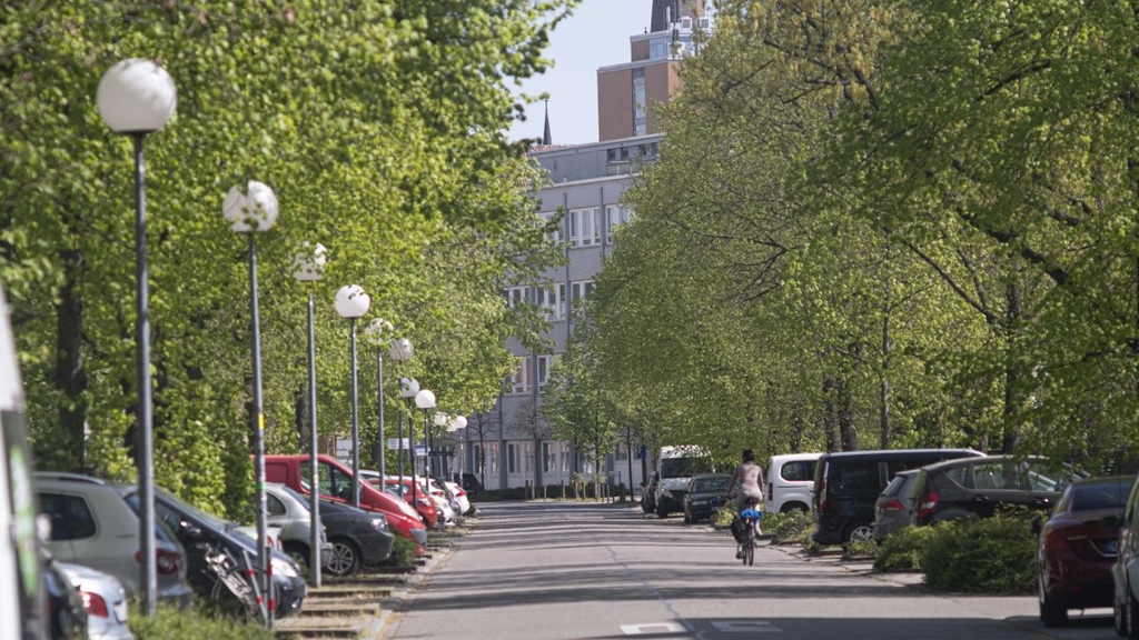 Keine Sperrung für Autoverkehr am Campus Süd