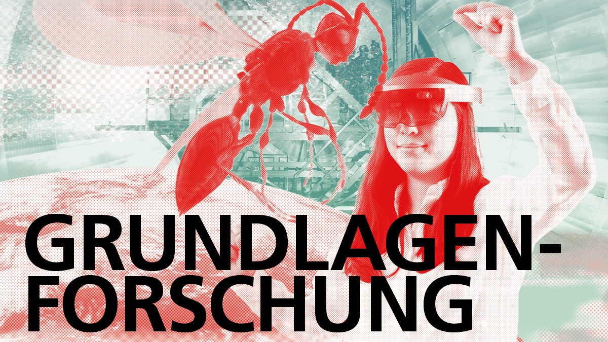 Cover des Forschungsmagazins lookKIT zum Thema Grundlagenforschung.