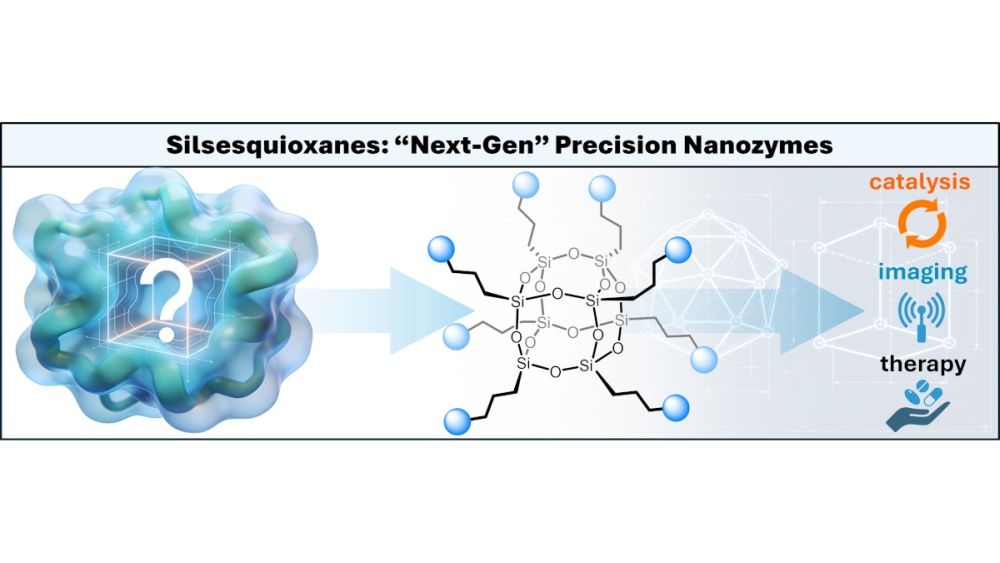 Nanozymes Act in Cancer Cells