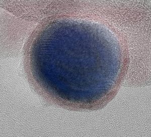 Eisen-Nanopartikel (Foto: INT)