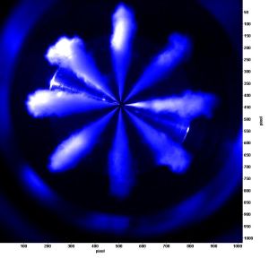 Klimaschutz auf der Schiene: Der Einsatz von Raps&ouml;lkraftstoff in Eisenbahnz&uuml;gen kann erheblich CO2-Emissionen einsparen. (Foto: Dr. Uwe Knoblauch)