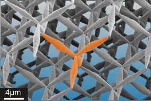 Das stabile Vierbein (orange eingef&auml;rbt) ist das Grundelement des Pentamode-Metamaterials. Es wird so zu einem dreidimensionalen diamantartigen Kristall angeordnet, dass sich das daraus resultierende Material insgesamt verformen l&auml;sst.  (Bildquelle: CFN, KIT)