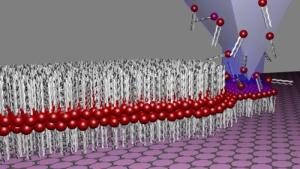 Mithilfe der Lipid Dip-Pen Nanolithography (L-DPN) werden Lipid-Membranen direkt auf den zweidimensionalen Kohlenstoff Graphen aufgebracht. (Grafik: Hirtz/Nature Communications) 