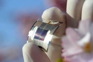 Leicht, flexibel und umweltfreundlich: Die neuar-tigen Solarzellen haben viele Vorteile gegen&uuml;ber herk&ouml;mmlichen organischen Solarzellen.  (Foto: Felix Nickl)