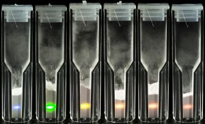 Photonische Marker zeigen bei Anregung mit infrarotem Licht Emissionen. (Foto: Irina Westermann, KIT)