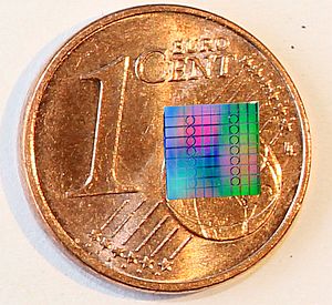 Kreisf&ouml;rmige Siliziumnitrid-Mikroresonatoren auf einem Chip im Vergleich mit einer Cent-M&uuml;nze. (Bild: J. N. Kemal/ P. Marin Palomo/KIT)