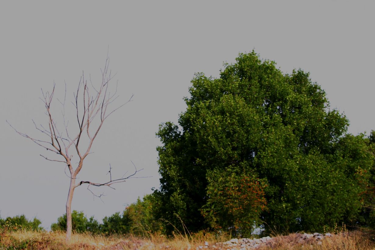 KIT, Gabi Zachmann Im Projekt ClimXtreme gehen Forscherinnen und Forscher den möglichen Ursachen von Hitzewellen nach (Foto: Gabi Zachmann, KIT)