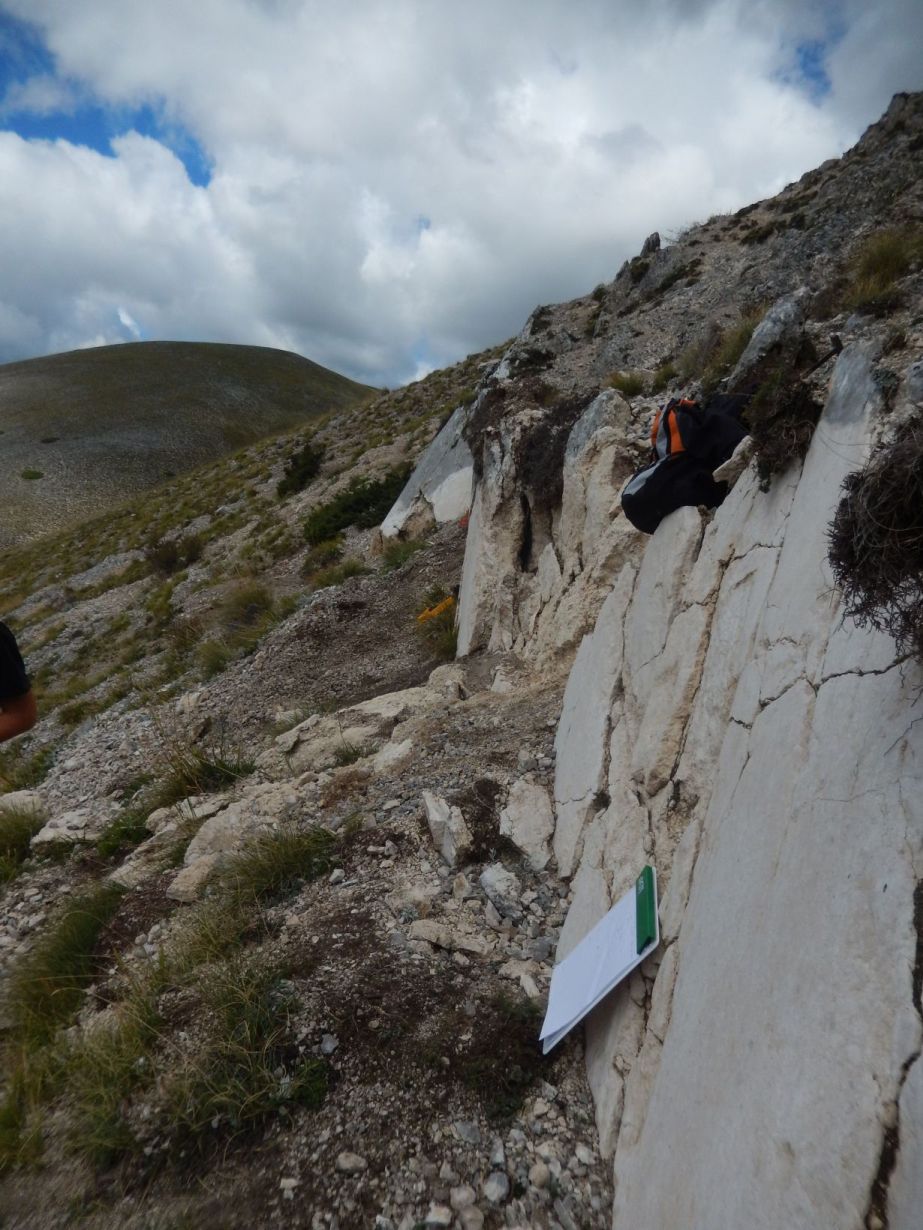 Foto: Joachim Ritter, KIT Die Störungsfläche (hell) ist durch das Zerbrechen eines Gesteinspakets während eines Erdbebens entstanden. (Foto: Joachim Ritter, KIT)