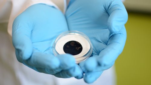 Vertikal ausgerichtete Kohlenstoff-Nanor&ouml;hrchen sind eine ideale Membran, um das Wechselspiel der Kr&auml;fte innerhalb von Nanoporen zu untersuchen. (Foto: IAMT, KIT)