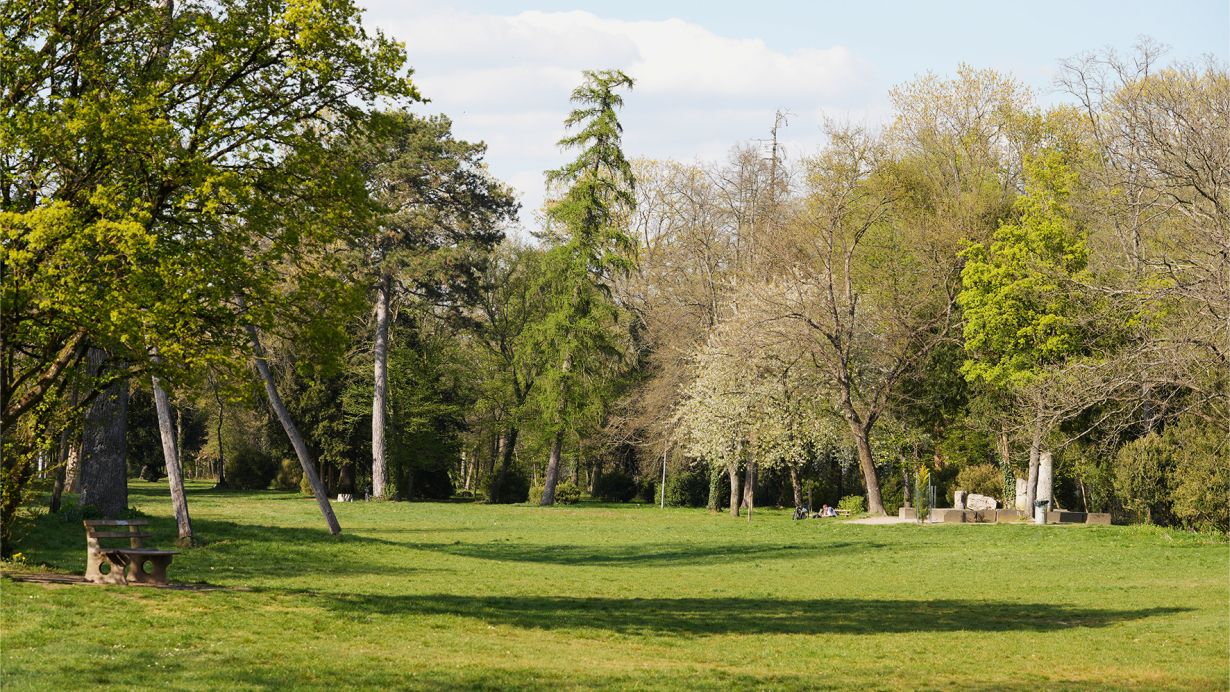 Der Karlsruher Fasanengarten ist ein Ort mit intakter Flora und Fauna und vielfältigem Baumbestand, in dem sich Menschen gerne aufhalten (Foto: Zoe Petridis, KIT)