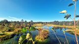 Landschaftsbild, Fluss, Ufer, Bäume, blauer Himmel