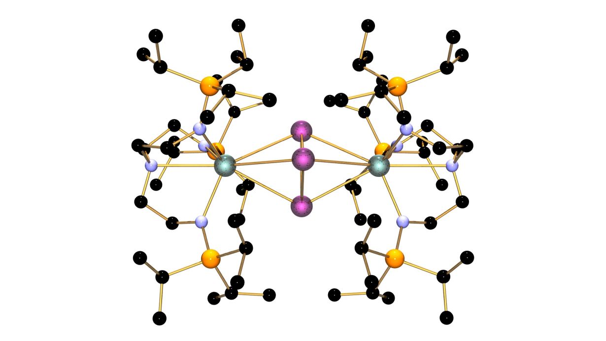 Aromatisches Molekül aus Schwermetallen