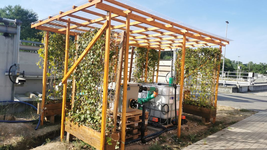 : Modularer Container-Bodenfilter mit Rohrleitungssystem, Filtermedium und Schilfbepflanzung zur dezentralen Wasseraufbereitung. (Foto: J. Rettig, JULIAN RETTIG | FOTOGRAFIE)